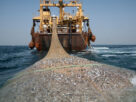 La liste des navires autorisés à pêcher dans les eaux sous juridiction sénégalaise