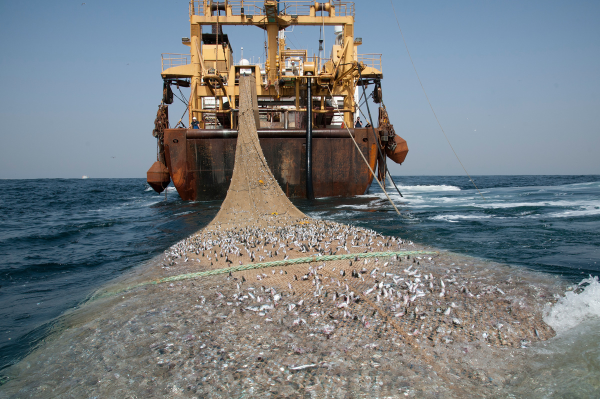 La liste des navires autorisés à pêcher dans les eaux sous juridiction sénégalaise