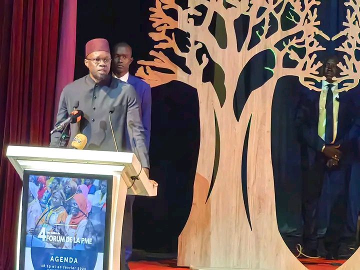 1 000 milliards de FCFA pour 2025. En complément, en avril 2025, l’APIX orchestrera une mobilisation de financements lors du Forum Invest in Sénégal, visant à attirer des capitaux supplémentaires pour consolider le développement des PME et PMI.