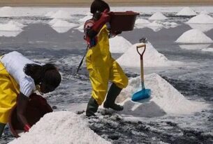 Le Premier ministre, Ousmane Sonko, a souligné, en conseil des ministres, le potentiel stratégique de la filière sel. Il a rappelé la place du Sénégal qui figure parmi les principaux producteurs africains de sel et qui demeure le premier producteur et exportateur significatif d’Afrique de l’Ouest, avec une production annuelle estimée à plus de 500 000 tonnes